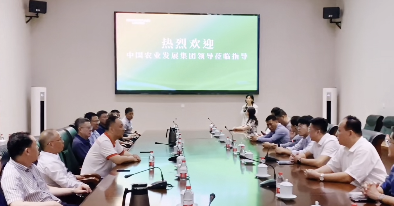 華光國瓷，質量杠杠滴！
